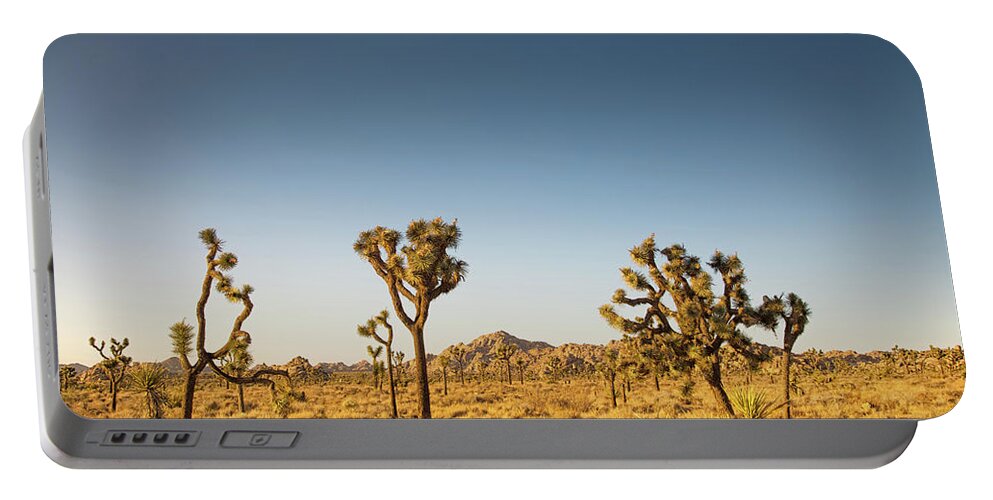 Joshua Tree National Park Portable Battery Charger featuring the photograph We love this sunset by Kunal Mehra