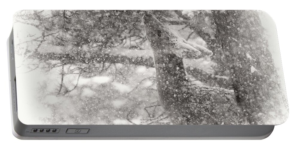 Deer Portable Battery Charger featuring the photograph Weathering Winter by Jim Garrison
