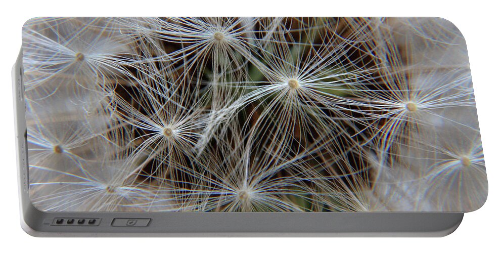 Dandelion Portable Battery Charger featuring the photograph Delicate Web by Aidan Moran