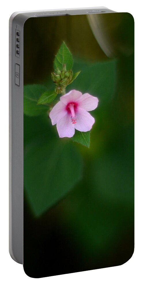 Flower Portable Battery Charger featuring the photograph Weed Flower 907 by Wesley Elsberry