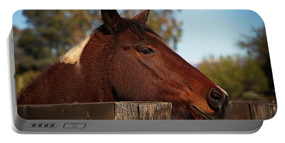 Horse Portable Battery Charger featuring the photograph Well Hello There by Teresa Wilson