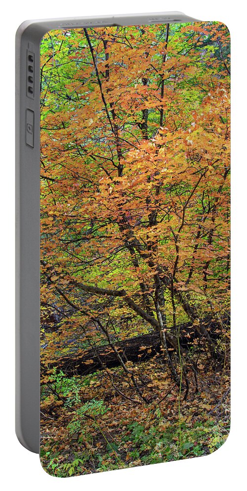 Fall Color Portable Battery Charger featuring the photograph West Fork 8030-101817-3 by Tam Ryan