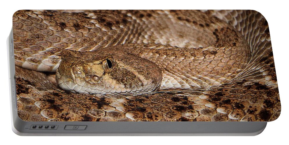 Snakes Portable Battery Charger featuring the photograph Western Diamondback Rattlesnake Close Up by Elaine Malott