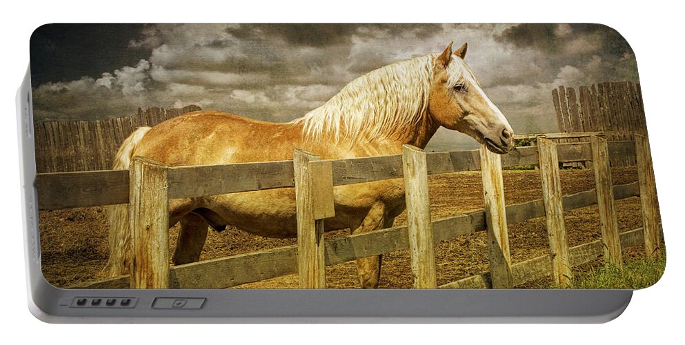 Art Portable Battery Charger featuring the photograph Western Horse in Alberta Canada by Randall Nyhof