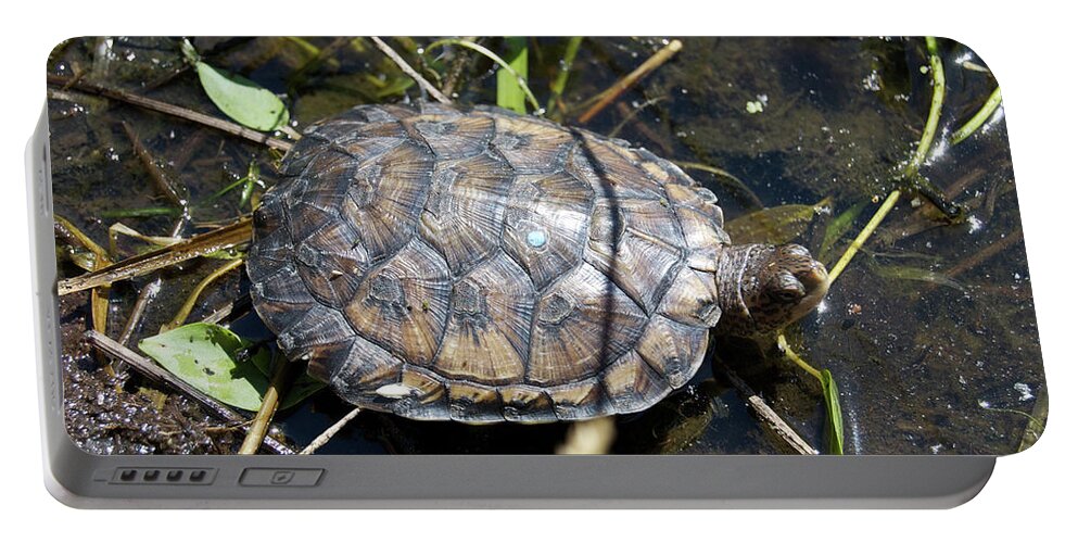 Westeren Pond Turtle Portable Battery Charger featuring the photograph Western Pond Turtle, Actinemys marmorata by Breck Bartholomew
