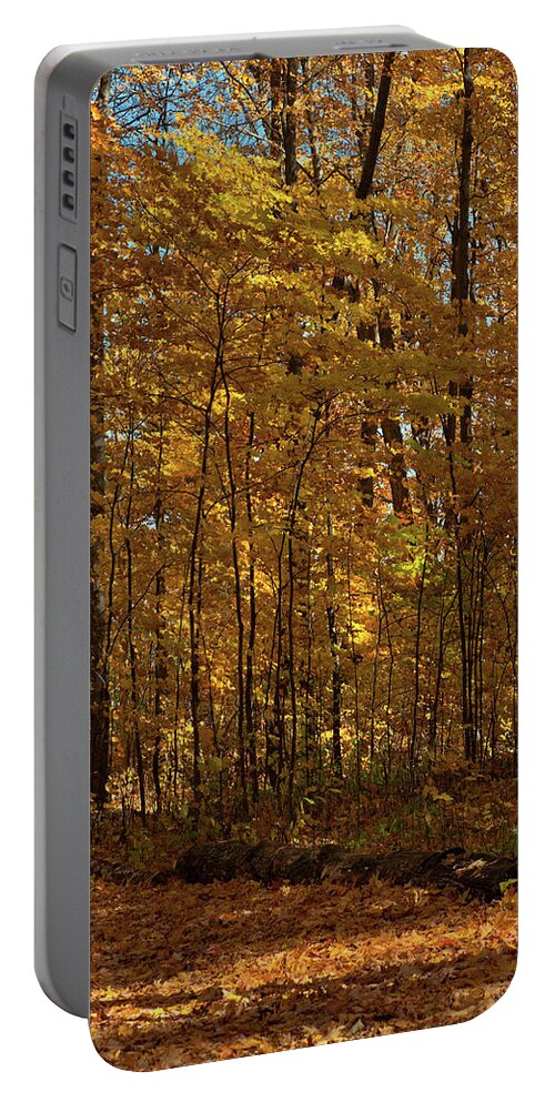 Orillia Portable Battery Charger featuring the digital art Westridge Lower Park in Autumn 2 by JGracey Stinson