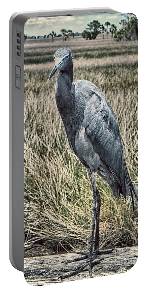 Wetlands Portable Battery Charger featuring the photograph Wetland Resident by Judy Hall-Folde