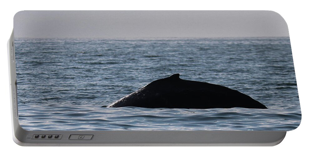 Fin Portable Battery Charger featuring the photograph Whale Fin by Suzanne Luft
