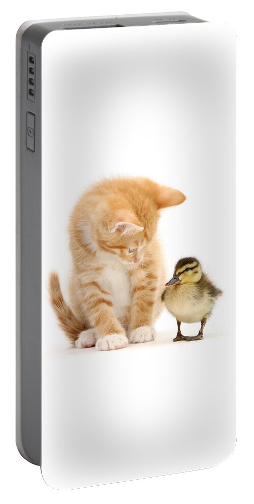 Duck Portable Battery Charger featuring the photograph What a ducky little fellow by Warren Photographic