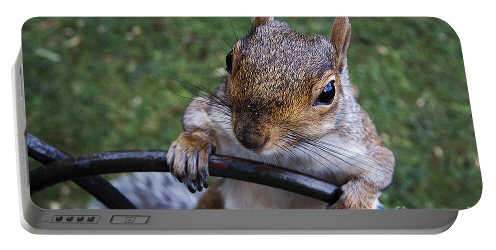 Squirrel Portable Battery Charger featuring the photograph whats Up by Agusti Pardo Rossello