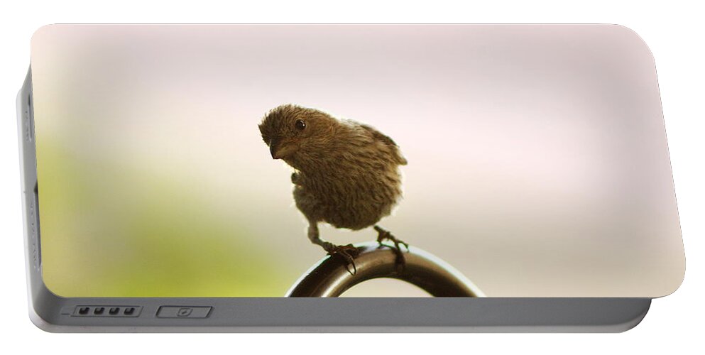 Female House Finch Portable Battery Charger featuring the photograph Whats Up House Finch by Colleen Cornelius
