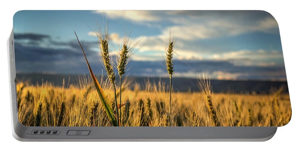 Lewiston Idaho Id Clarkston Washington Wa Lc-valley Lc Valley Pacific Northwest Palouse Wheat Wheatfield Field Crop Day Daytime Gold Blue Clouds Brad Stinson Prairie Portable Battery Charger featuring the photograph Standing Tall by Brad Stinson