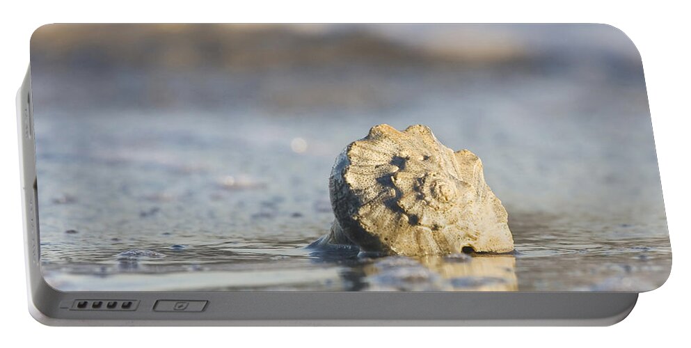 Sea Portable Battery Charger featuring the photograph Whelk Shell in Surf by Bob Decker