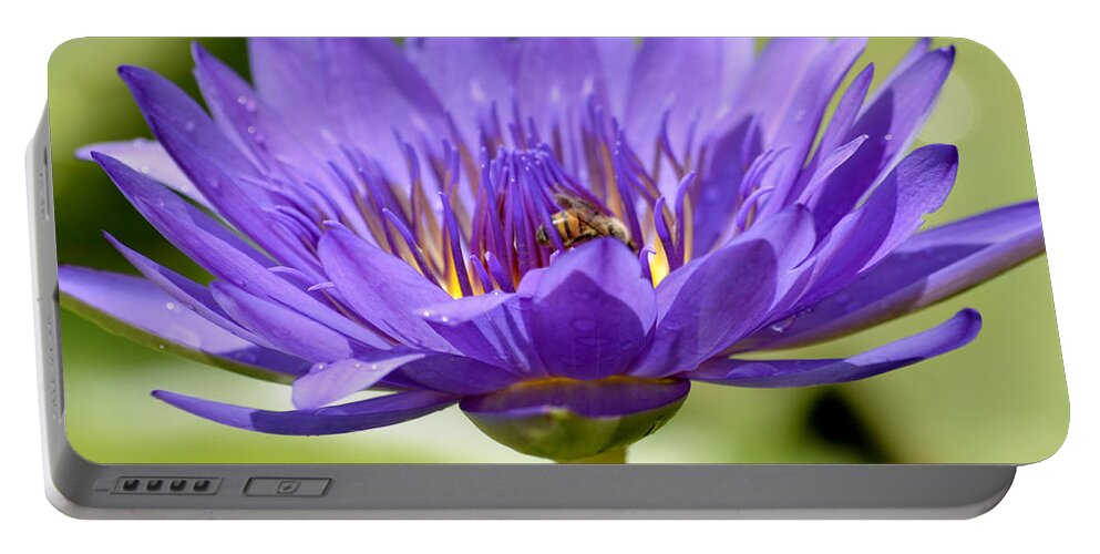 Water Lily Portable Battery Charger featuring the photograph When The Lily Blooms by Melanie Moraga