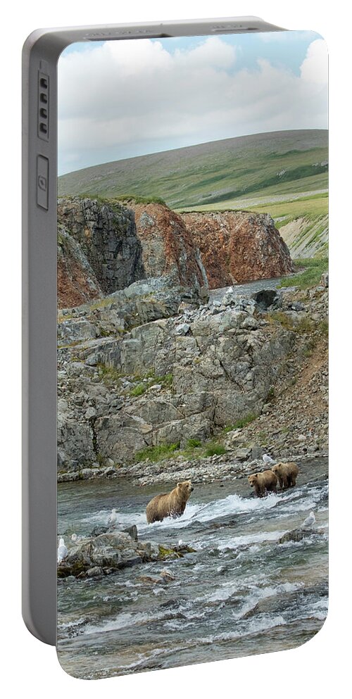 Alaska Portable Battery Charger featuring the photograph Where the Bears Are by Cheryl Strahl
