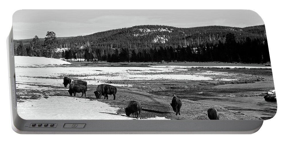 Yellowstone National Park Portable Battery Charger featuring the photograph Where The Buffalo Roam by Mountain Dreams