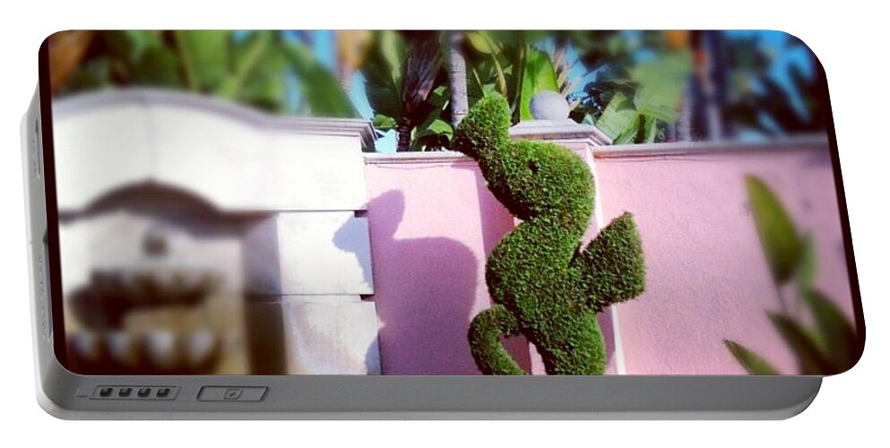 Seahorse Portable Battery Charger featuring the photograph Whimsy by Denise Railey