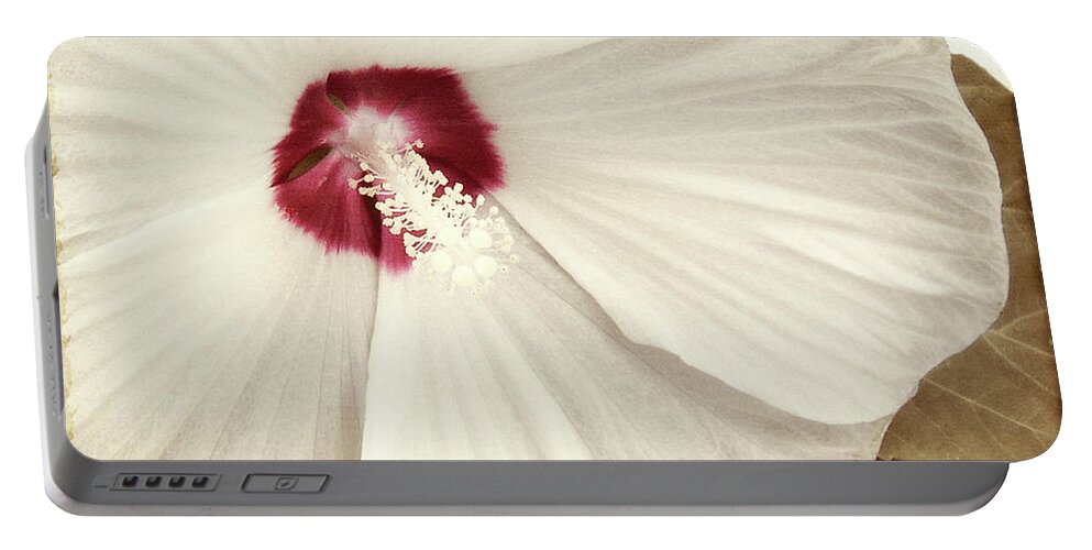 White Hibiscus Portable Battery Charger featuring the painting Whispering Hibiscus by Mindy Sommers