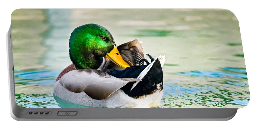 Cleaning Portable Battery Charger featuring the photograph Whispering Secrets by Wild Fotos