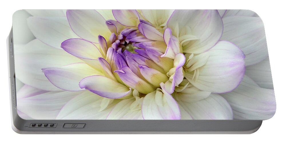 Purple Dahlia Portable Battery Charger featuring the photograph White and Purple Dahlia by Ann Bridges