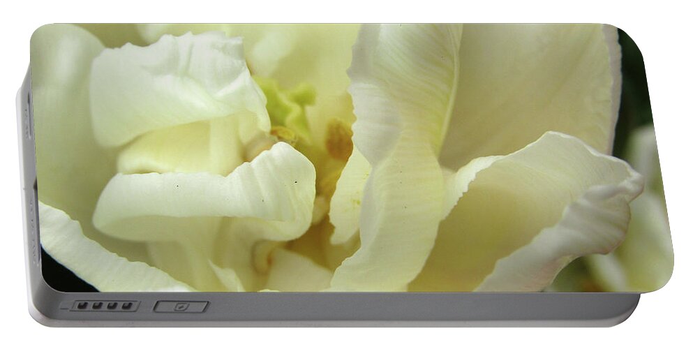   Tulips Portable Battery Charger featuring the photograph White Beauty by Kim Tran