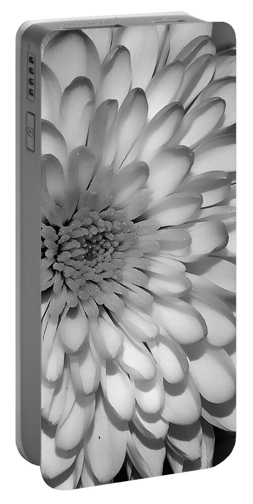 Flower Portable Battery Charger featuring the photograph White Bloom by Susan Cliett