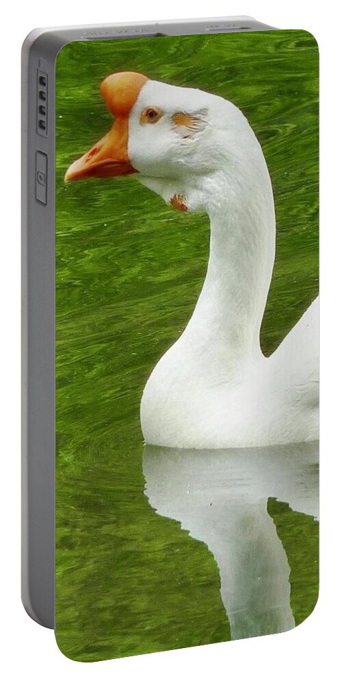 Goose Portable Battery Charger featuring the photograph White Chinese Goose by Susan Garren