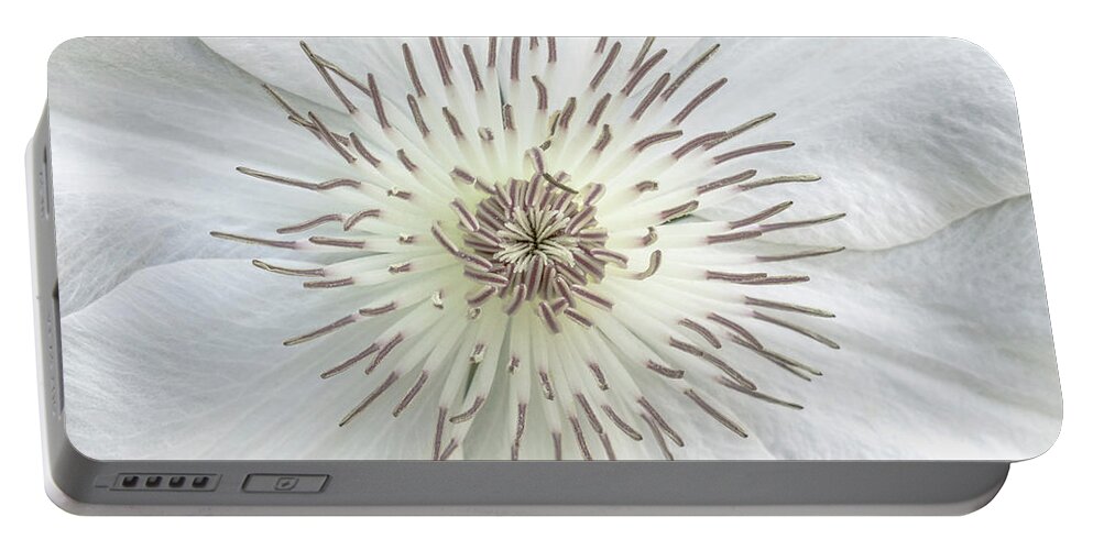 50121b Portable Battery Charger featuring the photograph White Clematis Flower Garden 50121b by Ricardos Creations