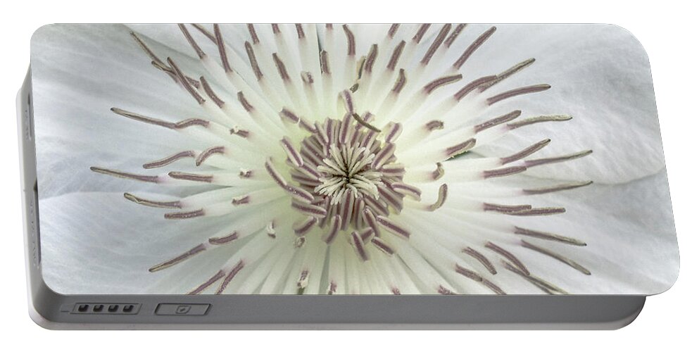 50121c Portable Battery Charger featuring the photograph White Clematis Flower Macro 50121c by Ricardos Creations