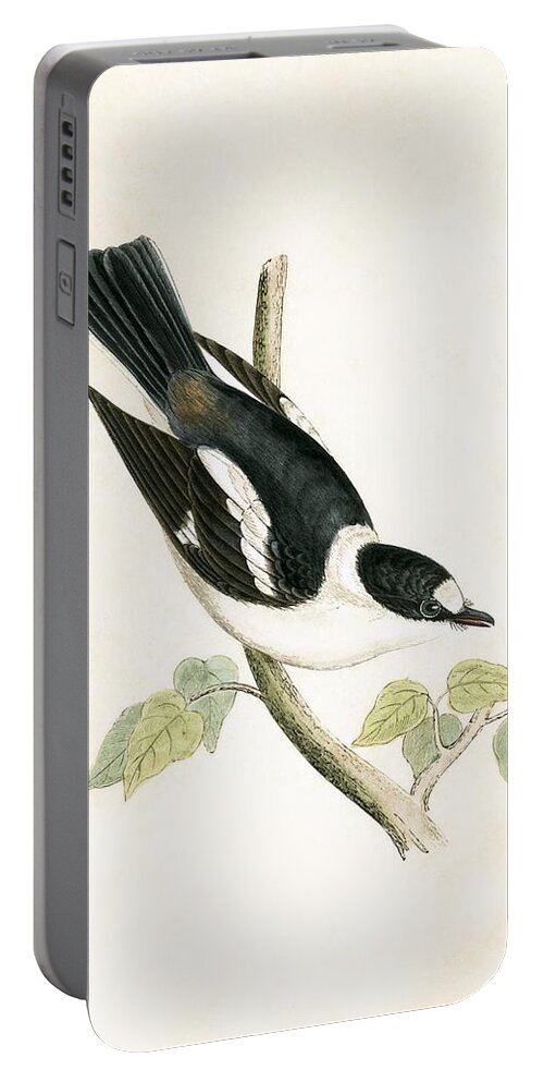 Flycatcher Portable Battery Charger featuring the painting White Collared Flycatcher by English School