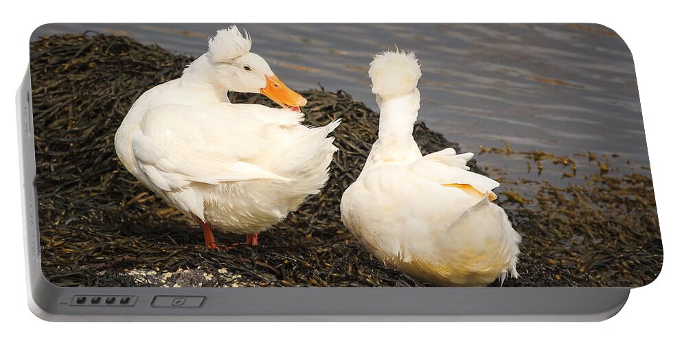 Crested White Duck Portable Battery Charger featuring the photograph White Crested Duck by Joni Eskridge