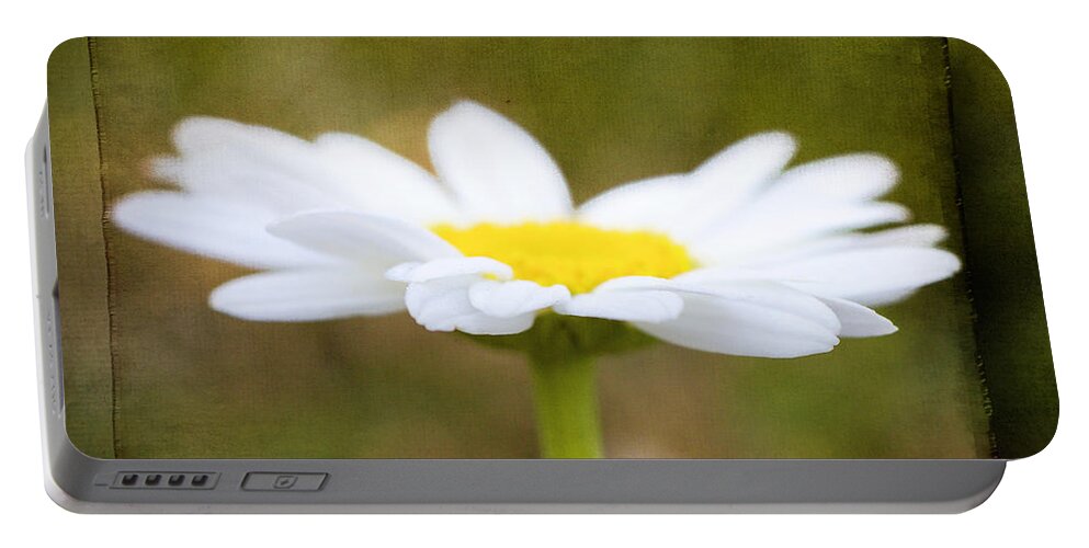 Spring Portable Battery Charger featuring the photograph White daisy by Eduard Moldoveanu