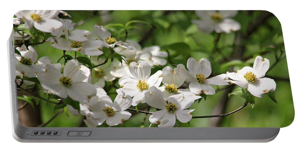Flowers Portable Battery Charger featuring the photograph White Dogwood Blossoms by Trina Ansel