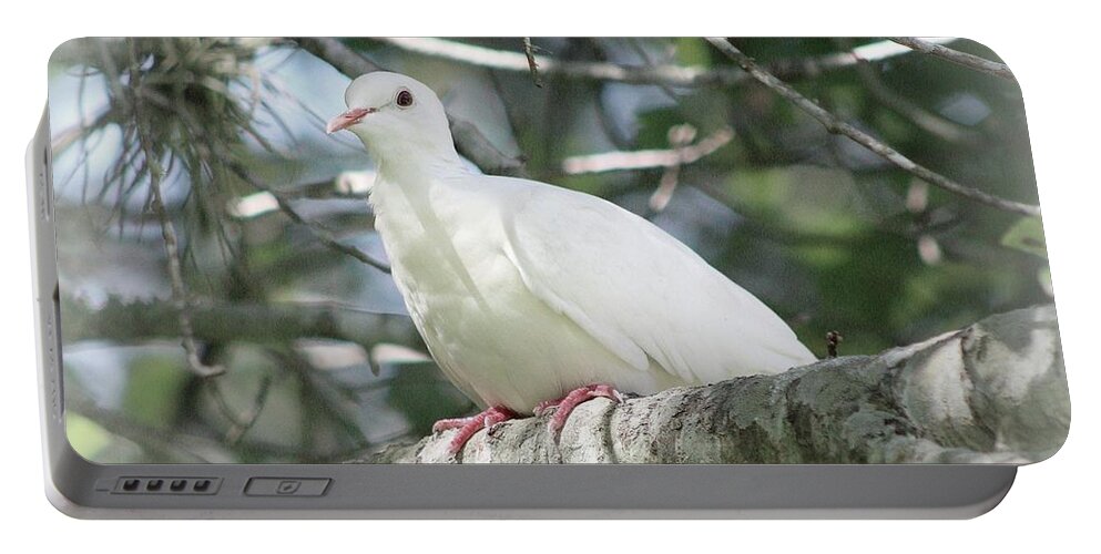 Doves Portable Battery Charger featuring the photograph White Dove Messenger by Ella Kaye Dickey