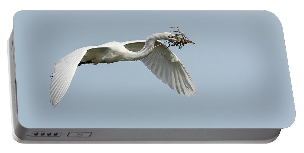 Great Egret Portable Battery Charger featuring the photograph White Egret 2016-1 by Thomas Young