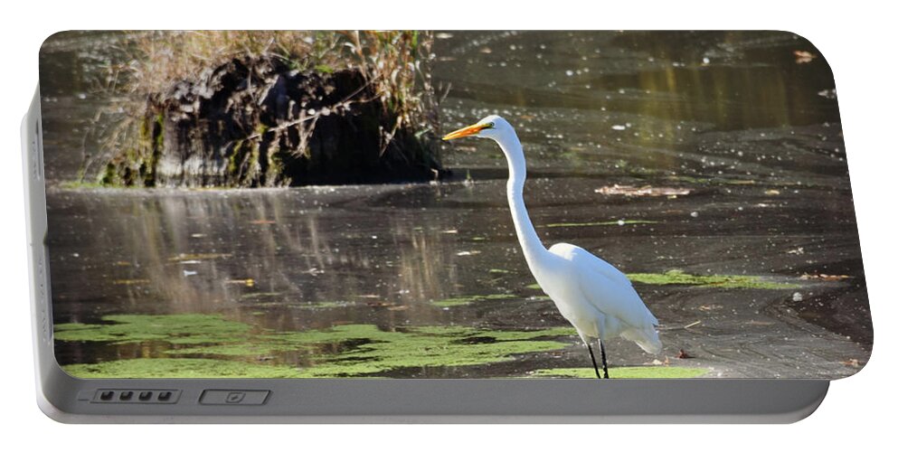 White Egret In The Shallows Portable Battery Charger featuring the photograph White Egret In The Shallows by Kathy M Krause