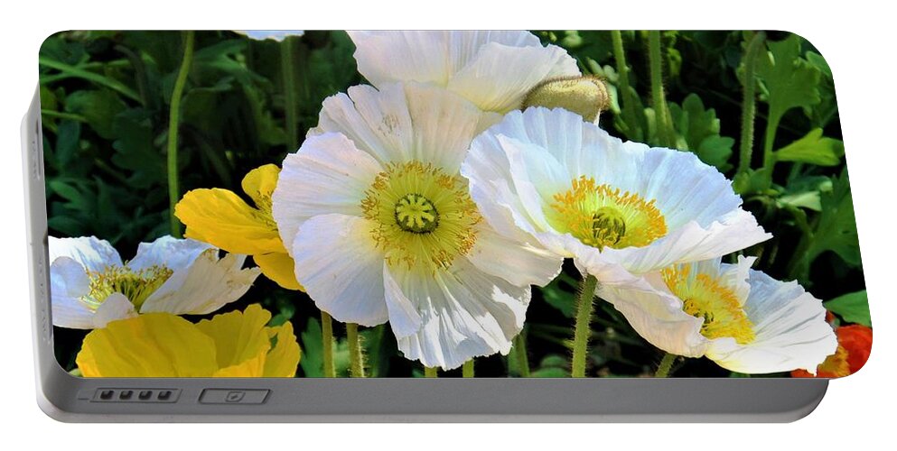 Flowers Portable Battery Charger featuring the photograph White Floriade Flowers by Yolanda Caporn