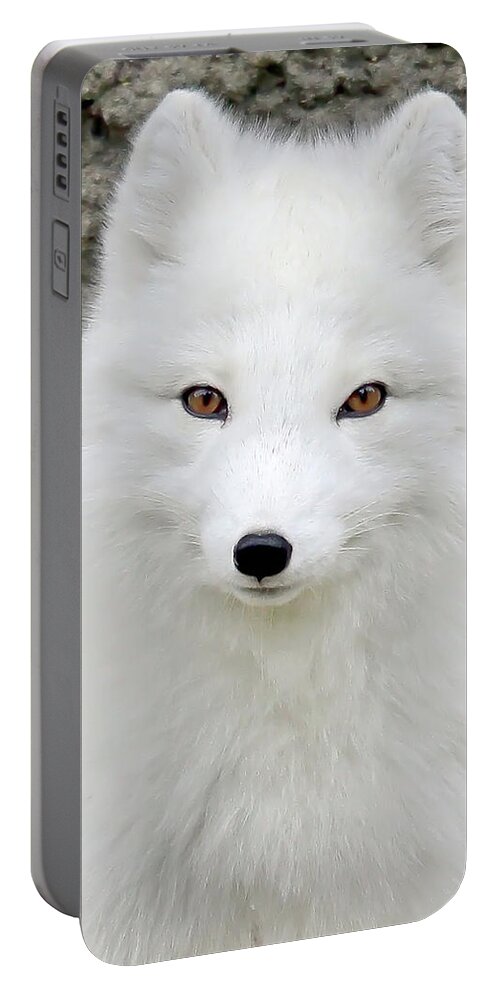 White Fox Portable Battery Charger featuring the photograph White Fox by Athena Mckinzie