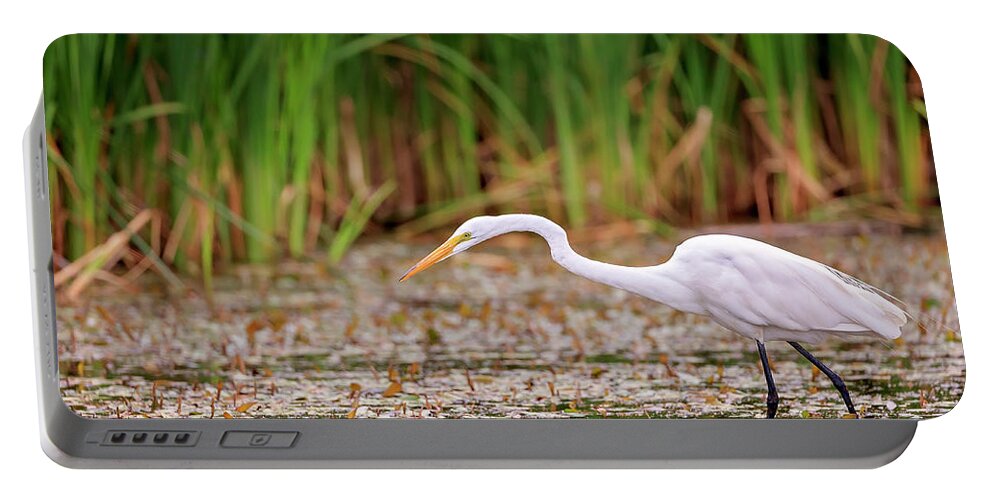 Animal Portable Battery Charger featuring the photograph White, Great Egret by Peter Lakomy