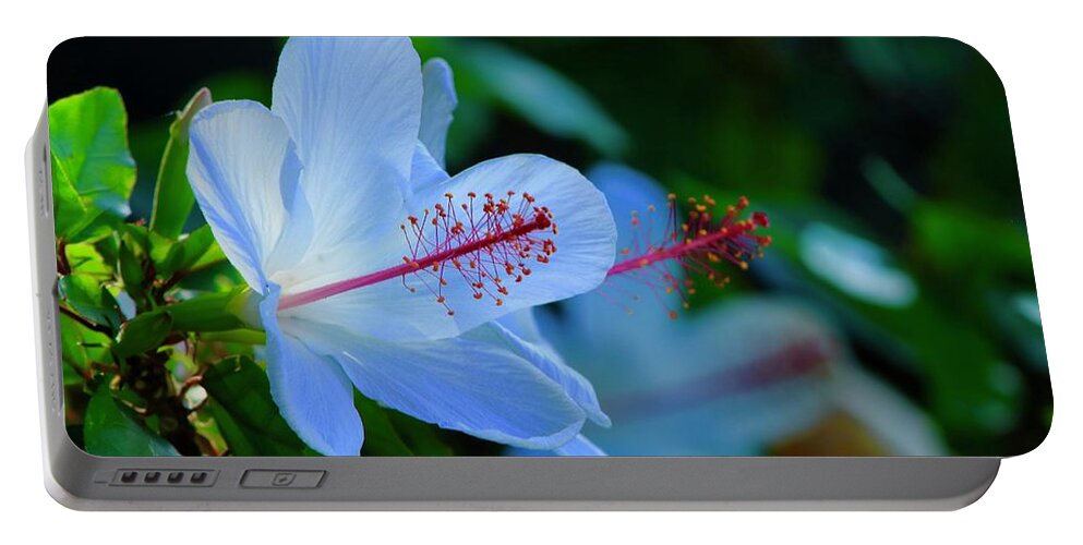 Hibiscus Portable Battery Charger featuring the photograph White Hibiscus by Craig Wood