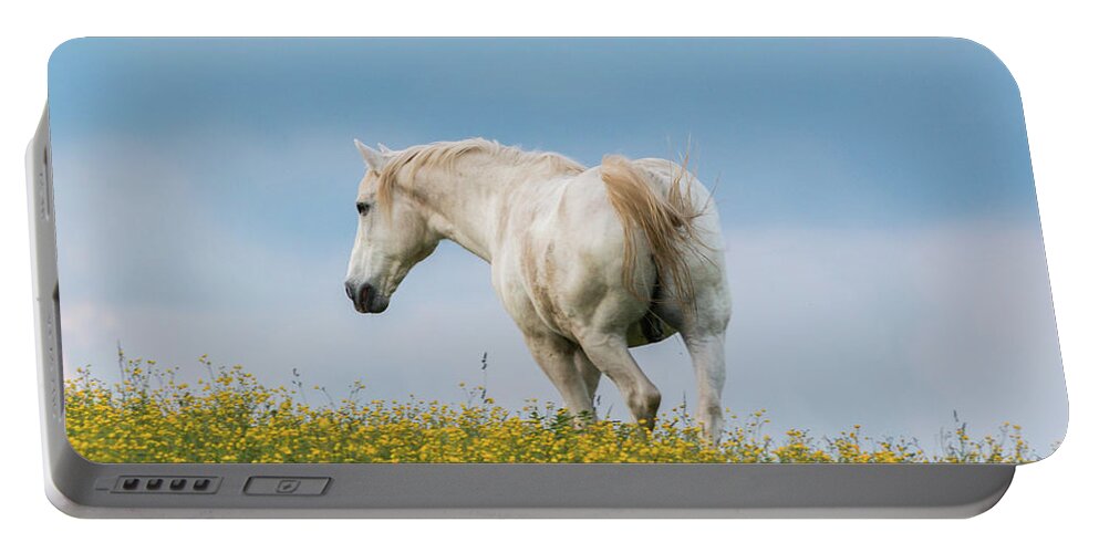 Horse Portable Battery Charger featuring the photograph White Horse of Cataloochee Ranch - May 30 2017 by D K Wall