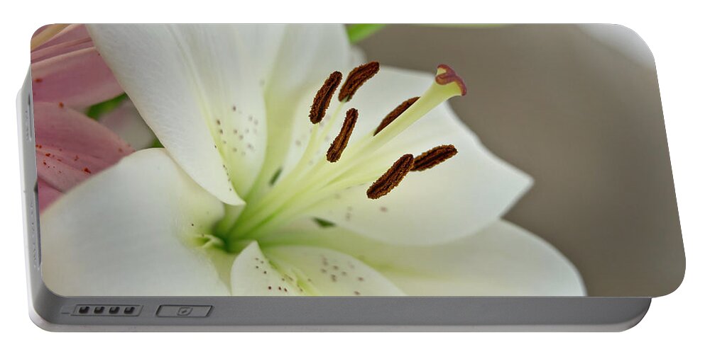 Humility Portable Battery Charger featuring the photograph White Lily 5 by Elena Perelman