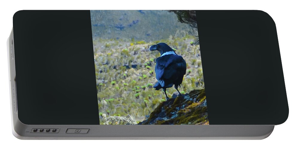 Africa Portable Battery Charger featuring the photograph White-Necked Raven Cliff-side by Jeff at JSJ Photography