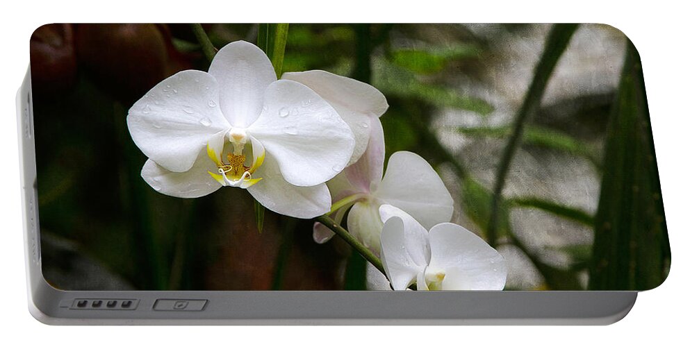 Bonnie Follett Portable Battery Charger featuring the photograph White Orchids by Bonnie Follett