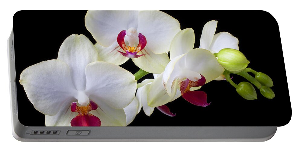 White Orchids Portable Battery Charger featuring the photograph White Orchids by Garry Gay