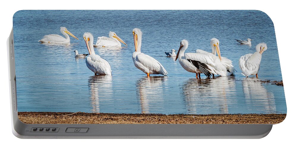 Animal Portable Battery Charger featuring the photograph White Pelicans by Doug Long