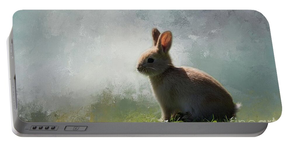 Bunny Portable Battery Charger featuring the photograph White Point Bunny by Eva Lechner