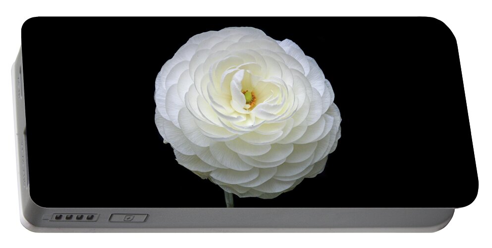 Ranunculus Portable Battery Charger featuring the photograph White Ranunculus by Terence Davis