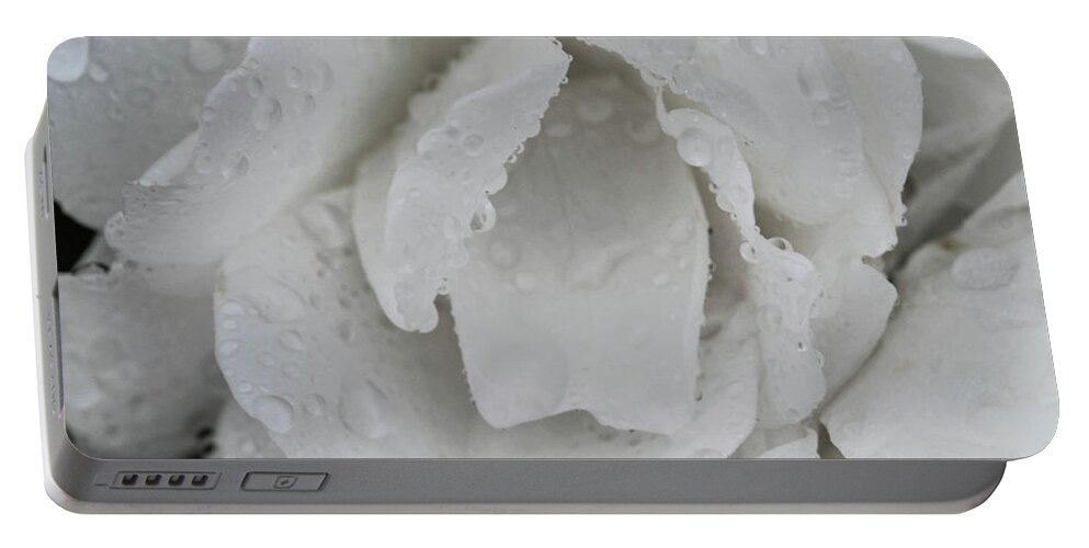 Rose Flower White Portable Battery Charger featuring the photograph White Rose by William Kimble