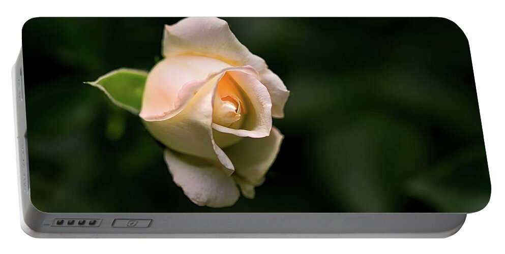 White Portable Battery Charger featuring the photograph White Rosebud by Richard Gregurich